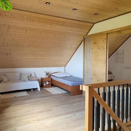 Проживание в семье Przystan