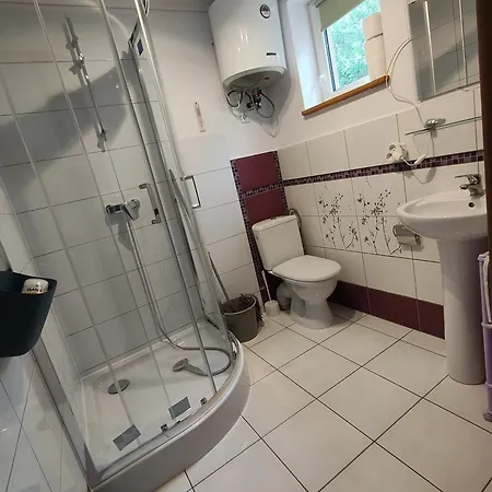 Проживание в семье Przystan